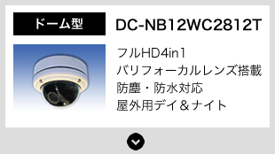 DC-NB12WC2812T ドーム型