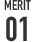 MERIT01
